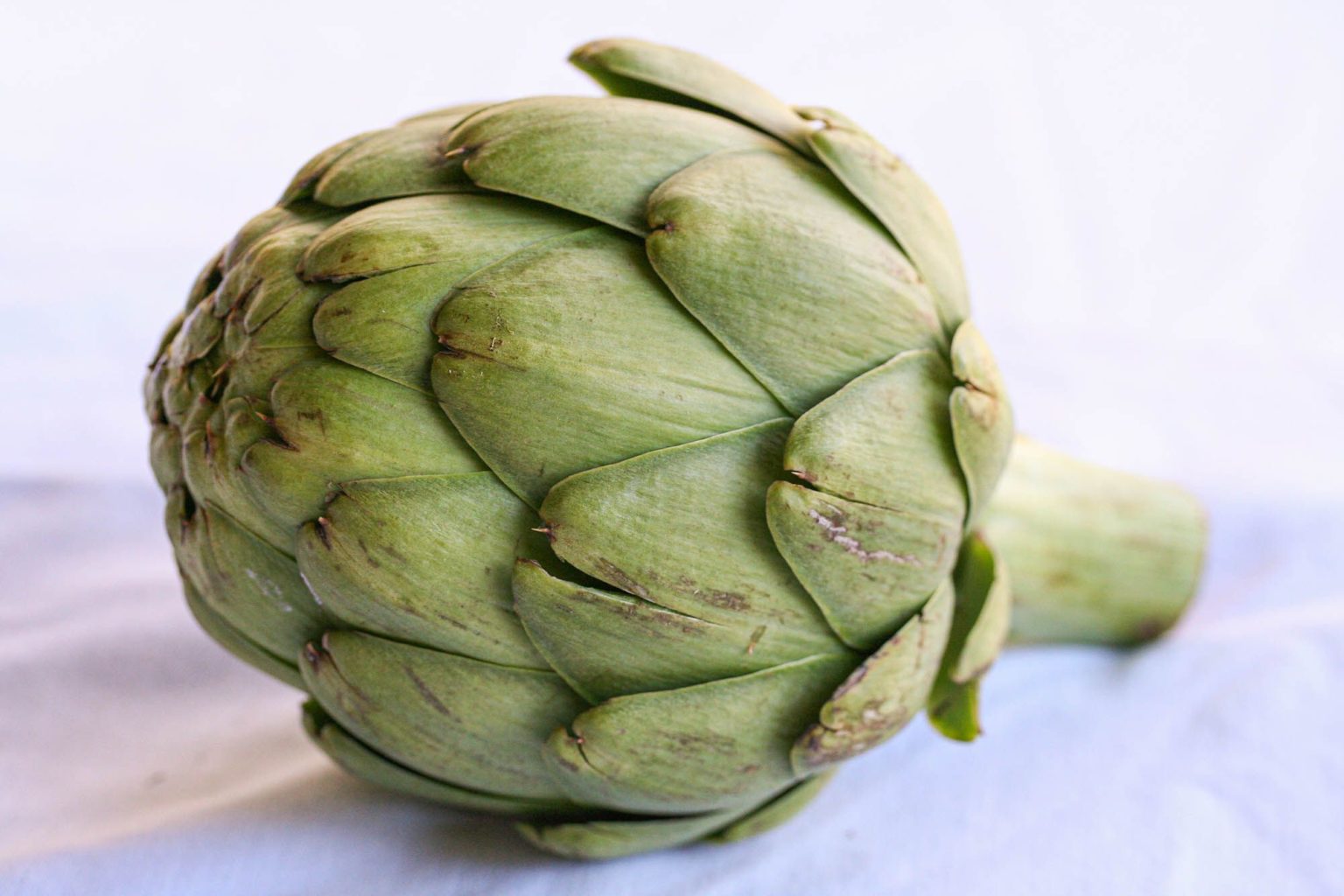 6 Benefits and Side Effects of Artichoke (Please Be Aware of the 6